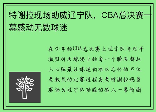 特谢拉现场助威辽宁队，CBA总决赛一幕感动无数球迷